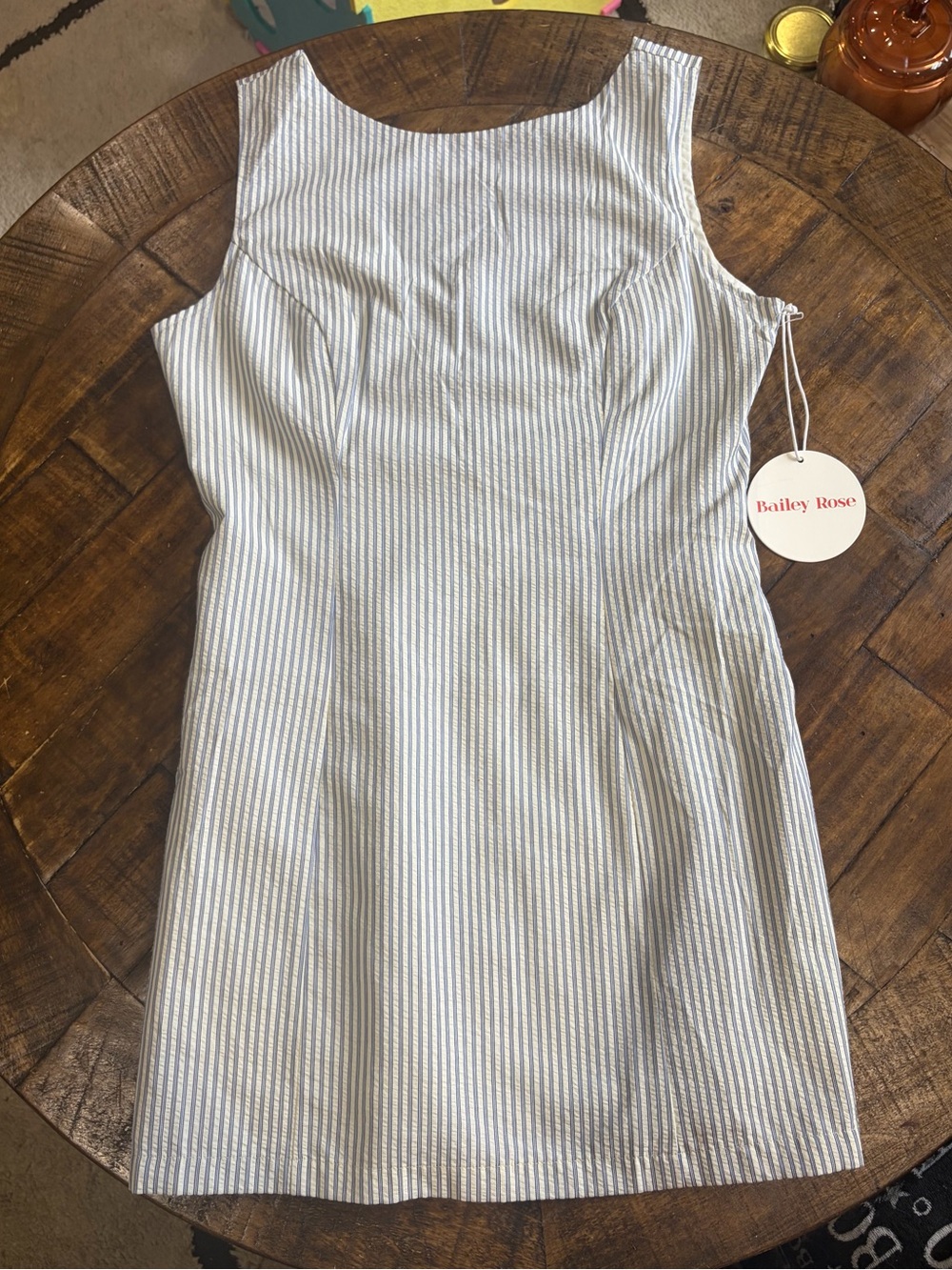Wild Dove harbor stripe mini dress
